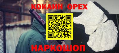 крисы Шелехов