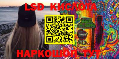 крисы Шелехов
