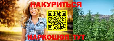 крисы Шелехов