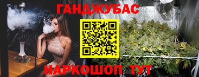 крисы Шелехов